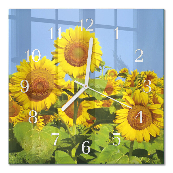 Orologio in vetro decorativo quadrato Girasoli
