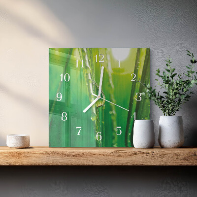 Orologio in vetro decorativo quadrato Gocce sull'erba