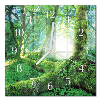Quadrato orologio Muschio di foresta