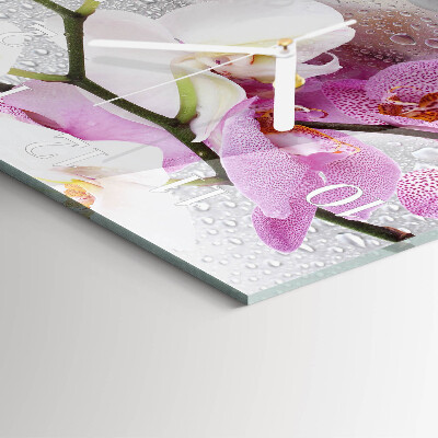 Quadrato orologio Orchidea