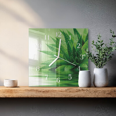 Orologio in vetro decorativo quadrato Aloe