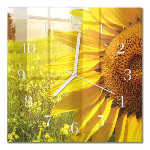 Orologio in vetro decorativo quadrato Girasole