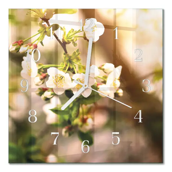 Quadrato orologio Natura