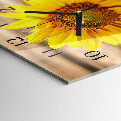 Quadrato orologio in vetro decorativo Girasole