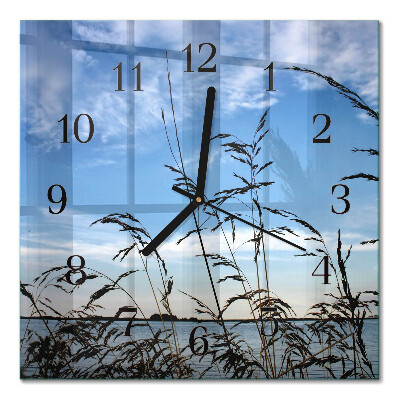 Quadrato orologio in vetro decorativo Erba