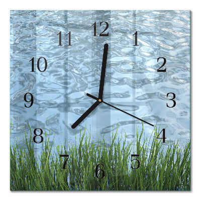 Quadrato orologio da parete Erba acqua