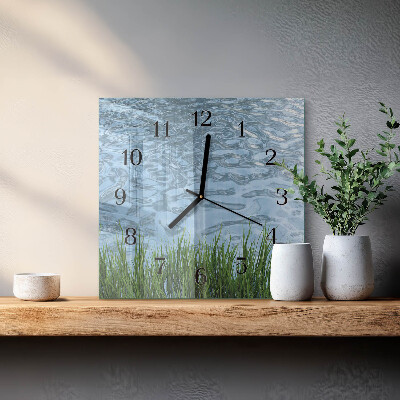 Quadrato orologio da parete Erba acqua