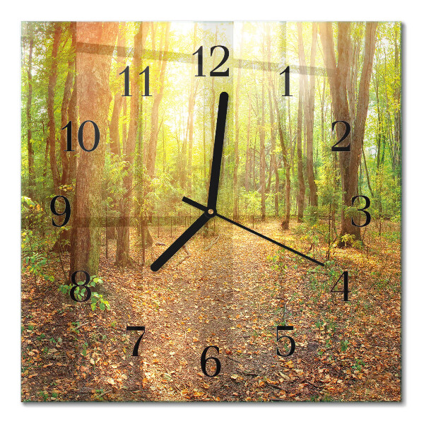 Orologio quadrato Sentiero nel bosco