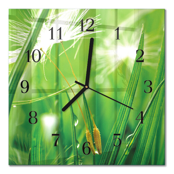 Quadrato orologio da parete Erba