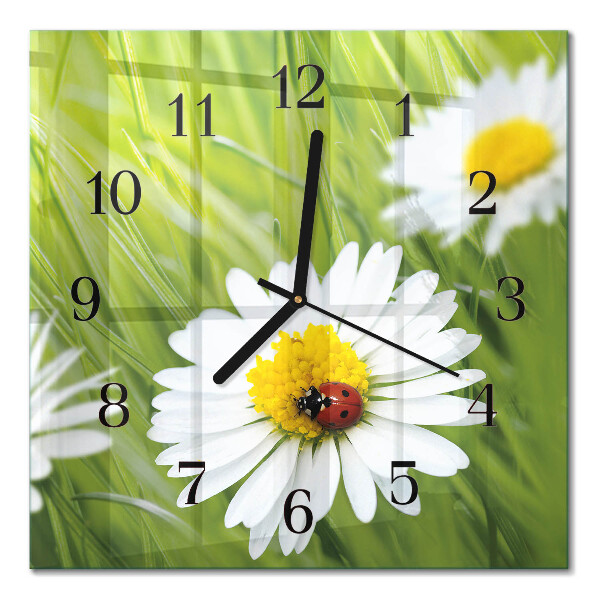 Quadrato orologio in vetro decorativo Margherite