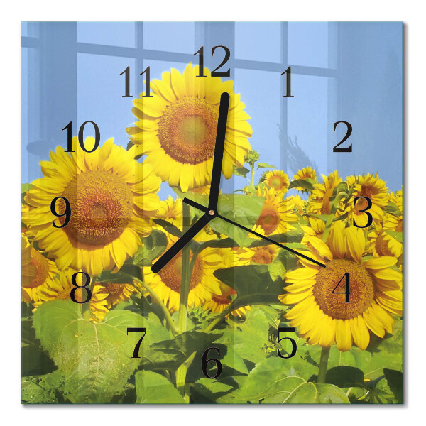 Quadrato orologio in vetro decorativo Girasoli