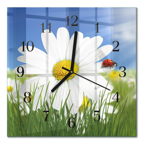 Quadrato orologio in vetro decorativo Il fiore e la coccinella