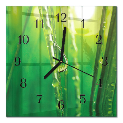 Quadrato orologio in vetro decorativo Gocce sull'erba