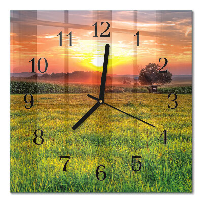 Quadrato orologio da parete Paesaggio prativo
