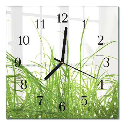 Quadrato orologio in vetro decorativo Erba