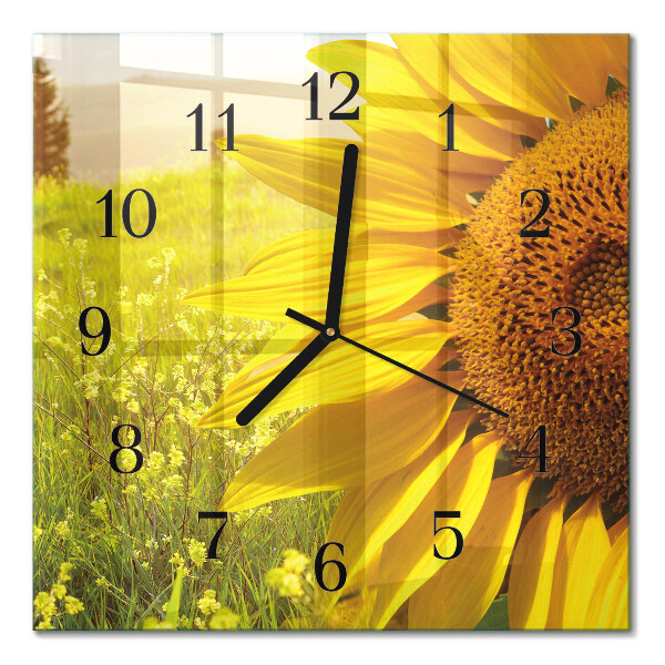 Quadrato orologio in vetro decorativo Girasole