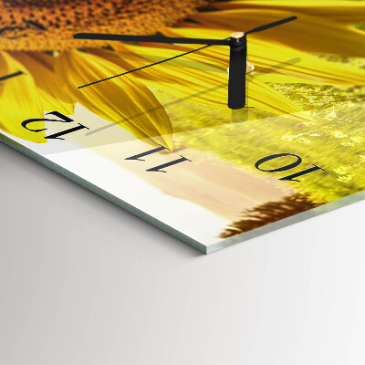 Quadrato orologio in vetro decorativo Girasole
