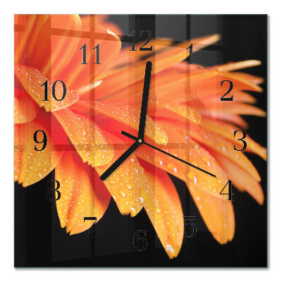 Quadrato orologio da parete Gerbera