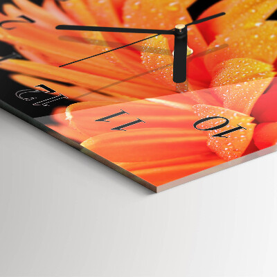 Quadrato orologio da parete Gerbera