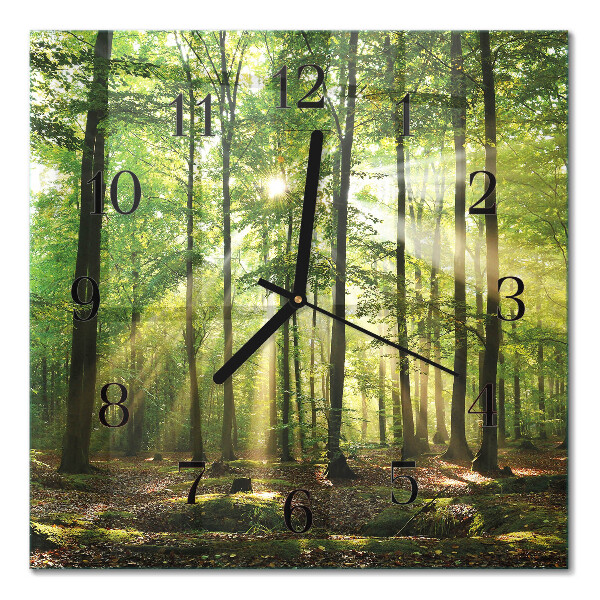 Quadrato orologio da parete Natura della foresta