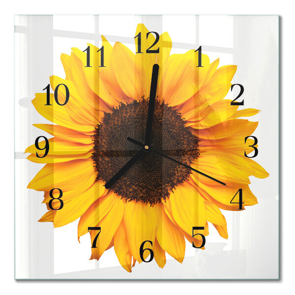 Quadrato orologio in vetro decorativo Girasole