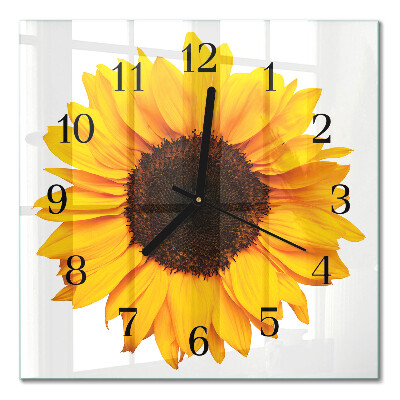 Quadrato orologio in vetro decorativo Girasole