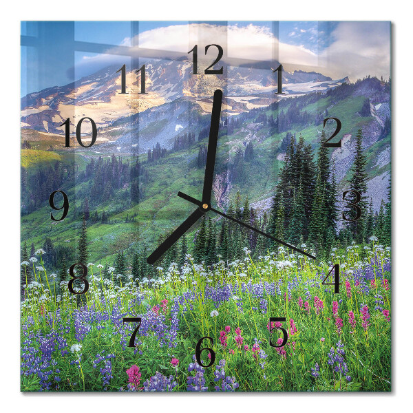 Quadrato orologio in vetro decorativo Montagna del prato