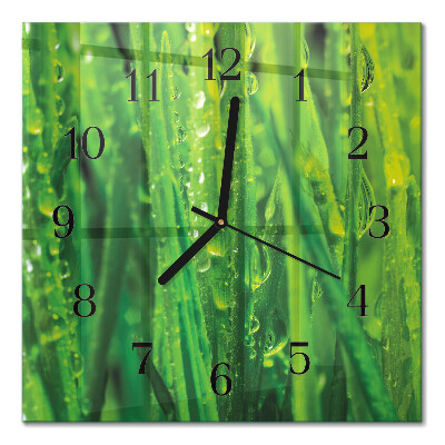 Quadrato orologio da parete Erba