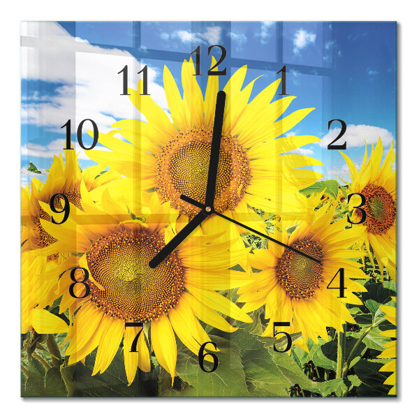 Quadrato orologio da parete Girasoli