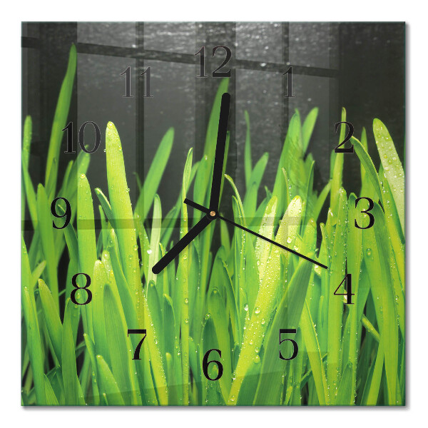 Quadrato orologio in vetro decorativo Erba