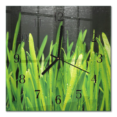 Quadrato orologio in vetro decorativo Erba