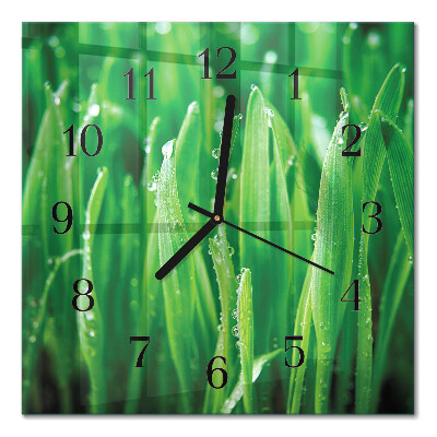 Quadrato orologio in vetro decorativo Erba verde