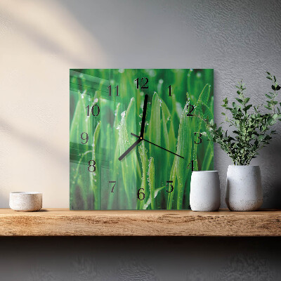 Quadrato orologio in vetro decorativo Erba verde