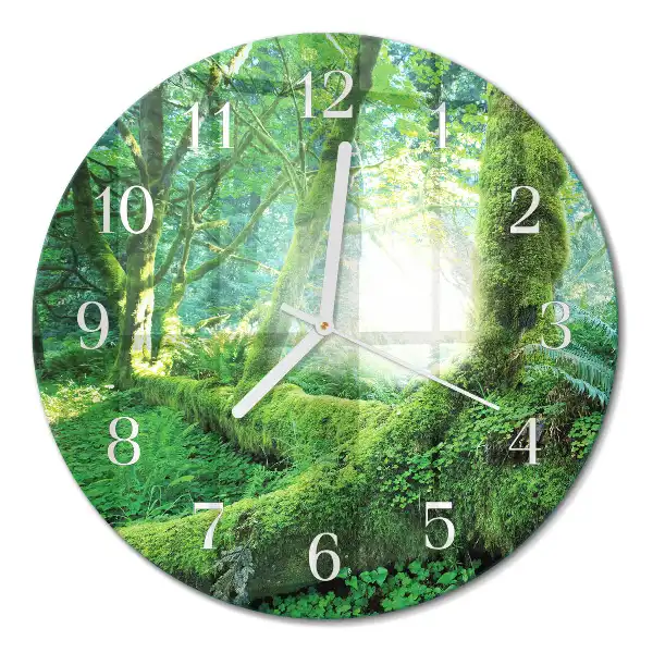 Orologio rotondo in vetro Muschio di foresta