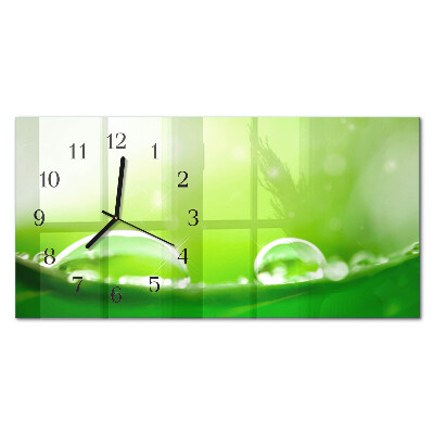 Orologi orizzontali Gocce su una foglia