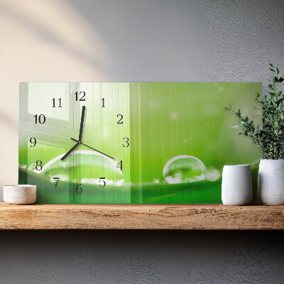 Orologi orizzontali Gocce su una foglia