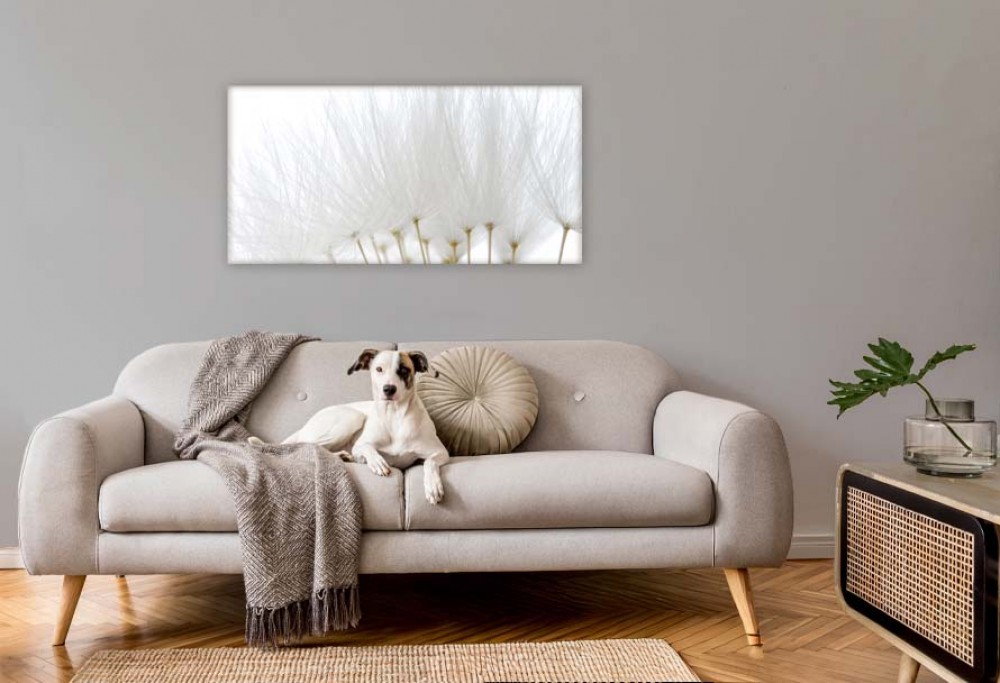 colore degli interni dell'anno 2026