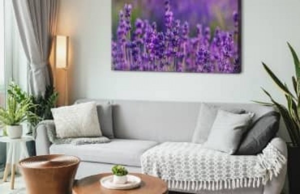 Arrediamo il soggiorno in stile provenzale! Ispirazioni e idee per un interno rustico