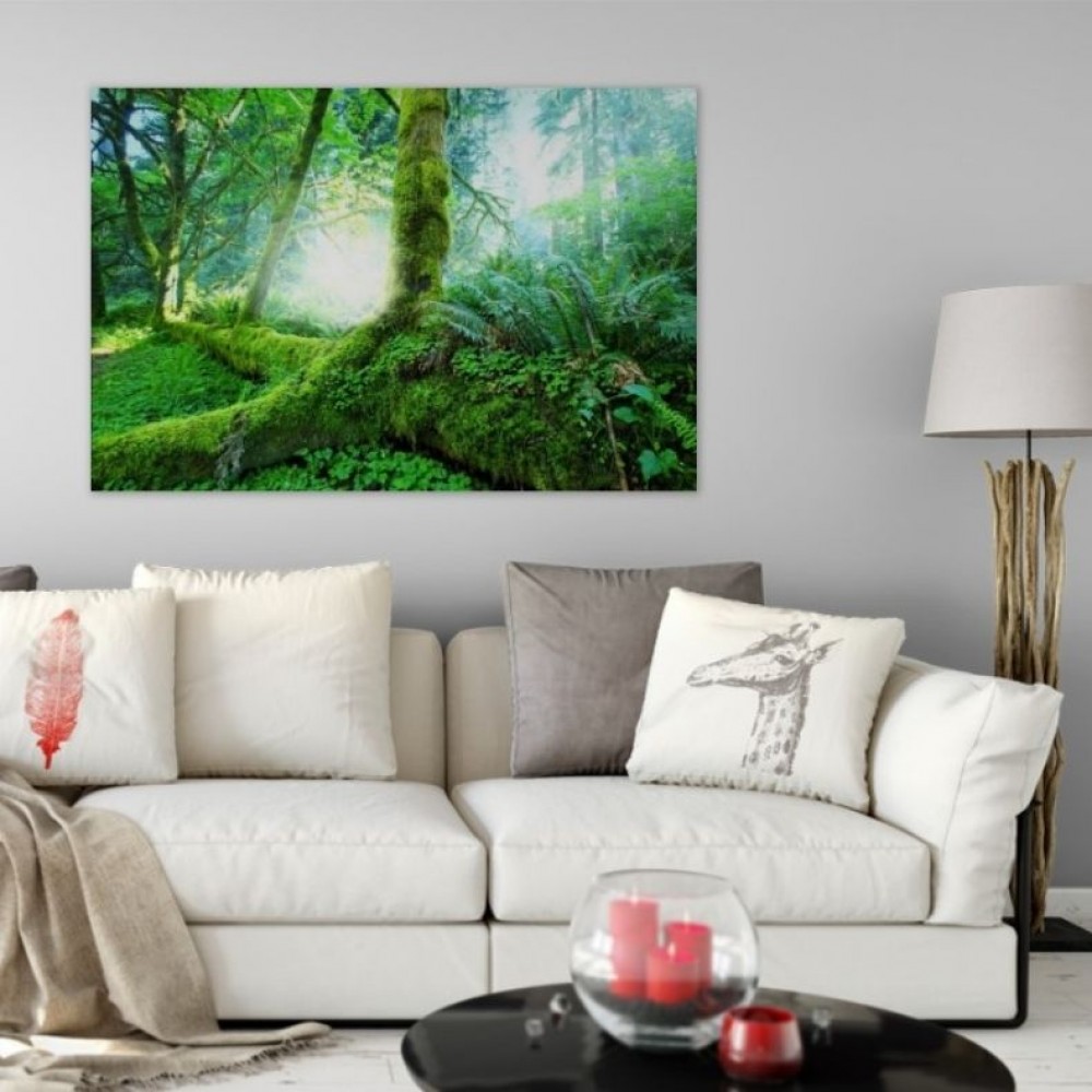 decorazioni per il soggiorno
