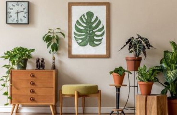 Come decorare la tua casa nello stile di una giungla urbana? Giungla urbana senza segreti