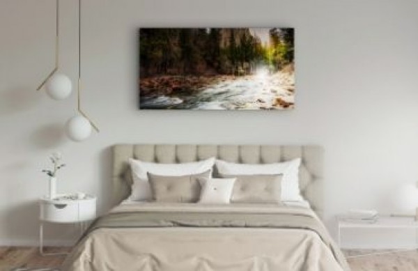 Immagini per la camera da letto e il soggiorno: quale motivo, tipo e dimensione dell'immagine funzioneranno nei tuoi interni?