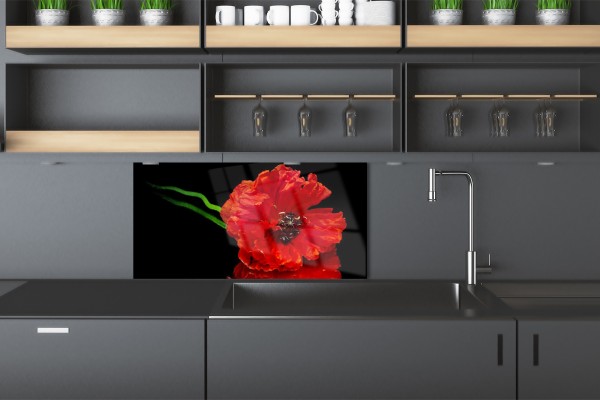 Pannello cucina bianco o nero: quale scegliere?