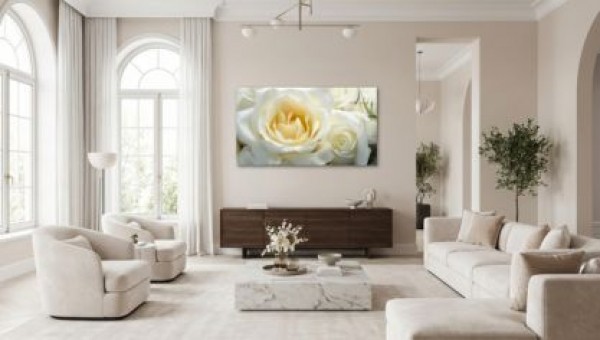 Colore dell'anno 2026 nel design degli interni: come usarlo a casa tua?